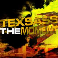 Artwork for The Moment by Texsass