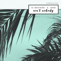 Artwork for Ain't Nobody by DJ Aristocrat