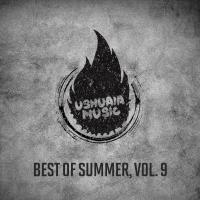 Artwork for Best of Summer, Vol. 9 by Sheef Lentzki