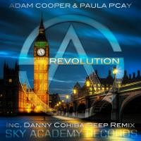 Artwork for Revolution by Adam Cooper