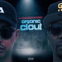 Artwork for Organic Clout by JA Young Wealth