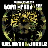 Artwork for Aries & Kelvin 373 present Born On Road x Jungle Cakes - Welcome To The Jungle (DJ Mix) by Various Artists