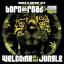 Artwork for Baddest DJ (Original Mix - Mixed)