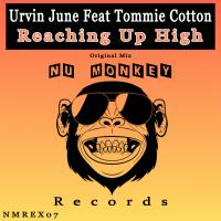 Artwork for Reaching Up High by Urvin June