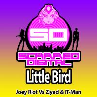 Artwork for Little Bird by Joey Riot