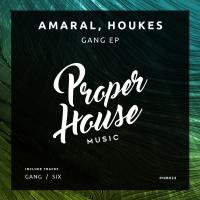 Artwork for Gang EP by Amaral