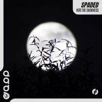 Artwork for Into the Darkness by Spaded