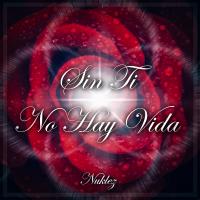 Artwork for Sin Ti No Hay Vida by Nuklez