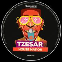 Artwork for House Nation by Tzesar