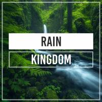 Artwork for Rain Kingdom by Rain Recordings