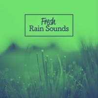 Artwork for Fresh Rain Sounds by Rain For Deep Sleep