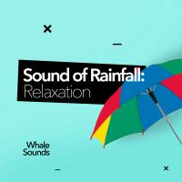 Artwork for Sound of Rainfall: Relaxation by Whale Sounds