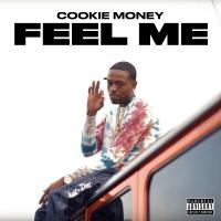 Artwork for Feel Me by Cookie Money