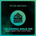 Artwork for I'm Gonna Hold On (Angelo Ferreri 'Funky Touch' Extended Remix)