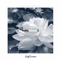 Artwork for India Mama 2 by Steff Corner