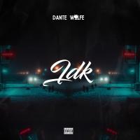 Artwork for IDK by Danté Wolfe