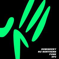 Artwork for Nu Northern Funk EP2 by Domineeky