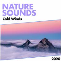 Artwork for Cold Winds by Nature Sounds