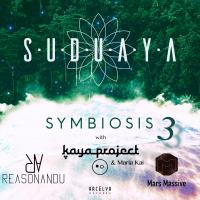 Artwork for Symbiosis, Pt. 3 by Suduaya