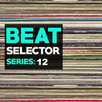 Artwork for Beat Selector Series 12 by Various Artists