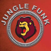 Artwork for Best Of Jungle Funk Recordings Vol.2 by Various Artists