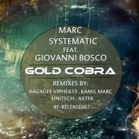 Artwork for Gold Cobra Re-Releas EP by Marc Systematic