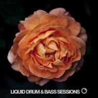 Artwork for Liquid Drum & Bass Sessions 2019 Vol 4 by Various Artist