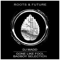 Artwork for Gone Like Fool / Badboy Selection by DJ Madd