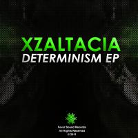 Artwork for Determinism EP by Xzaltacia