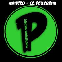 Artwork for Gaitero by Ck Pellegrini