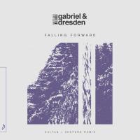 Artwork for Falling Forward (Sultan + Shepard Remix) by Gabriel & Dresden