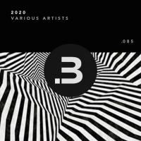 Artwork for 2020 by Various Artists