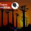 Artwork for African Deep (Original Mix)