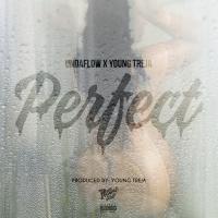 Artwork for Perfect (feat. Young Treja) by Undaflow