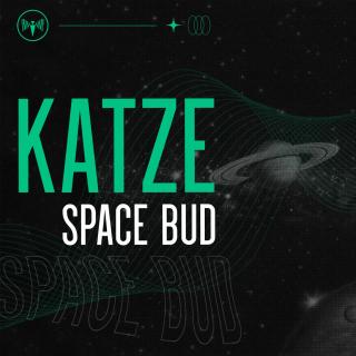 Artwork for Space Bud (Original Mix)