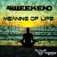 Artwork for Meaning Of Life (Original Mix)