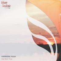 Artwork for Sad But True by Harmonic Rush