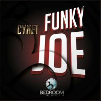 Artwork for Funky Joe by Cynet