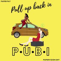 Artwork for P.U.B.I (Pull Up Back In) by Paper Pat