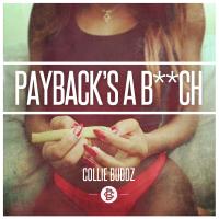 Artwork for Payback's a B**ch - Single by Collie Buddz