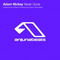 Artwork for Never Gone by Adam Nickey