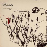 Artwork for Weeds by Lee DeWyze