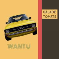 Artwork for WANT YOU by Salade Tomate