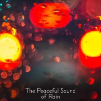 Artwork for The Peaceful Sound of Rain by Rain Sounds Nature Collection