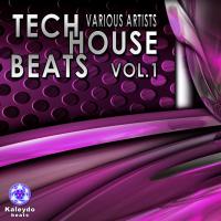 Artwork for Tech House Beats Vol. 1 by Various Artists