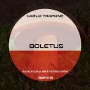 Artwork for Boletus