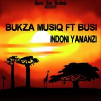 Artwork for Indoni Yamanzi by Bukza Musiq