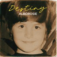 Artwork for Destiny by Alborosie