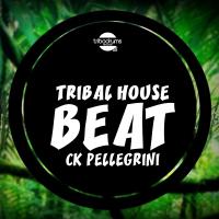 Artwork for Tribal House Beat by Ck Pellegrini