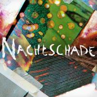 Artwork for The Fool by Nachtschade